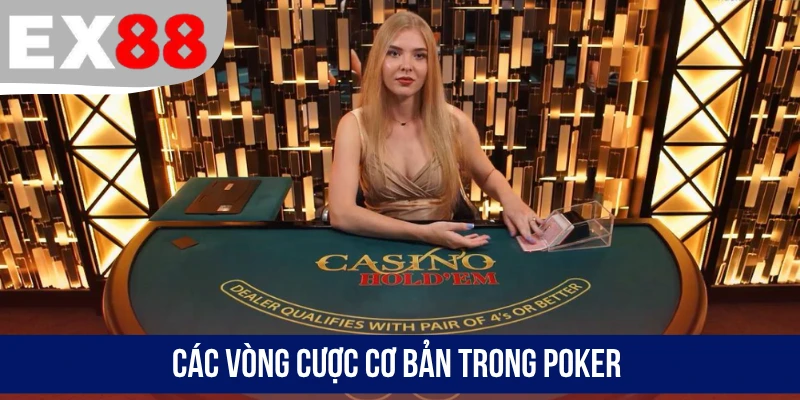 Các vòng cược cơ bản trong Poker