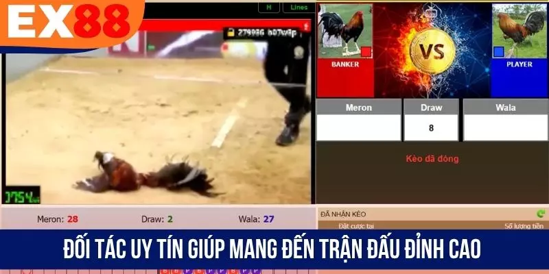Đối tác uy tín giúp mang đến trận đấu đỉnh cao